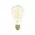 LED Gouden LED Carbon Filament lamp C04 Gebogen Spiraal Filament Edison ST64 4W E27 Dimbaar 1800K