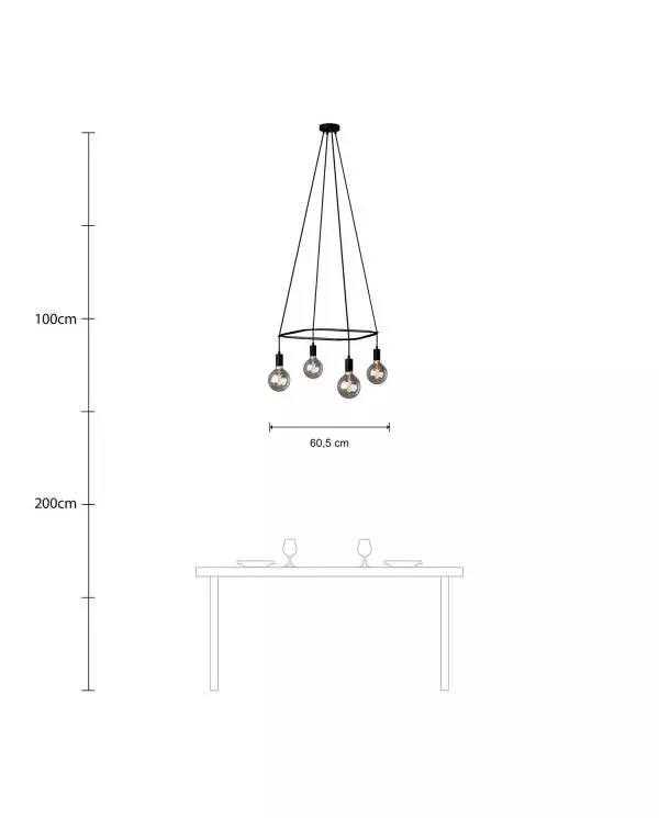 4 Pendels Cage Lamp Globe